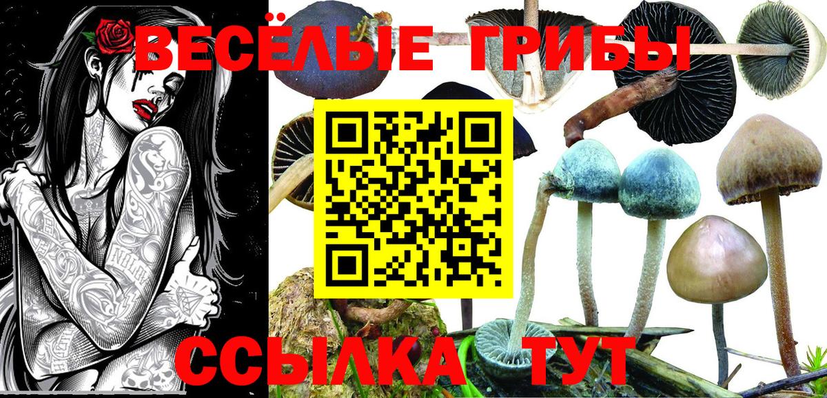 Псилоцибиновые грибы GOLDEN TEACHER  Вход с VPN  Ялуторовск 